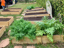Load image into Gallery viewer, Organic Compost